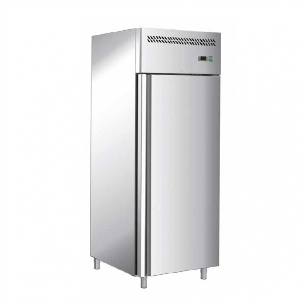 Congelatore verticale professionale AFP/GN650BT